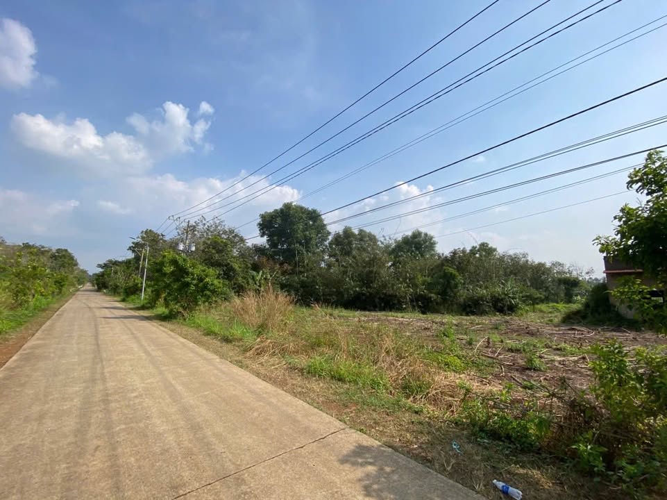 Đất nền 1080m² tại Xuân Đường, Cẩm Mỹ chỉ 6 tỷ - Sổ đỏ chính chủ!