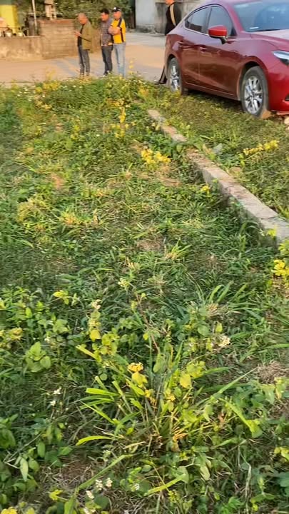 Đất nền Nam Thái, Nam Nghĩa 191m² giá chỉ 1 tỷ - Đầu tư lý tưởng!