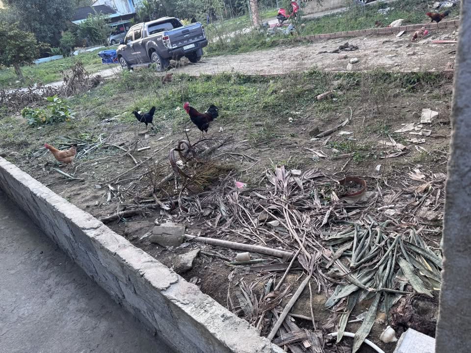 Đất nền Hòa Thọ Tây 83m² giá 2 tỷ - Lô góc 2 mặt tiền tiện ích