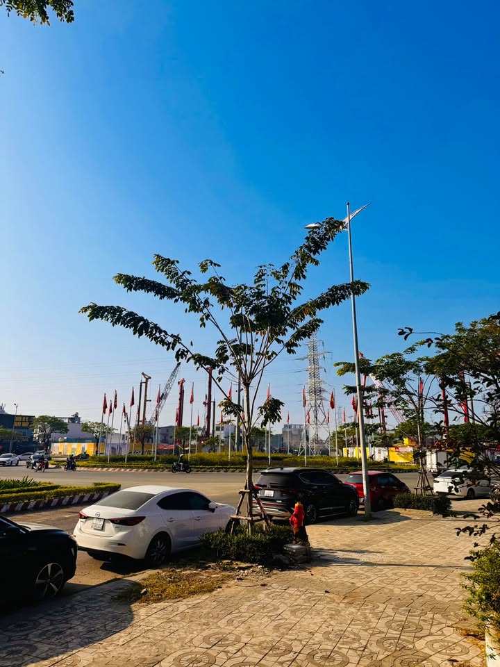 Đất góc 2 mặt tiền Lương Nhữ Hộc 331m² giá 35 tỷ - Vị trí đắc địa cho đầu tư!