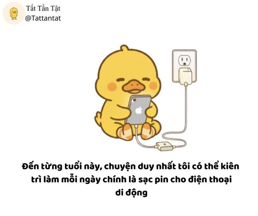 Đất nền đường Cổ Mân Mai 1, Hòa Xuân, 95m² giá 4.1 tỷ - Cơ hội đầu tư tuyệt vời!