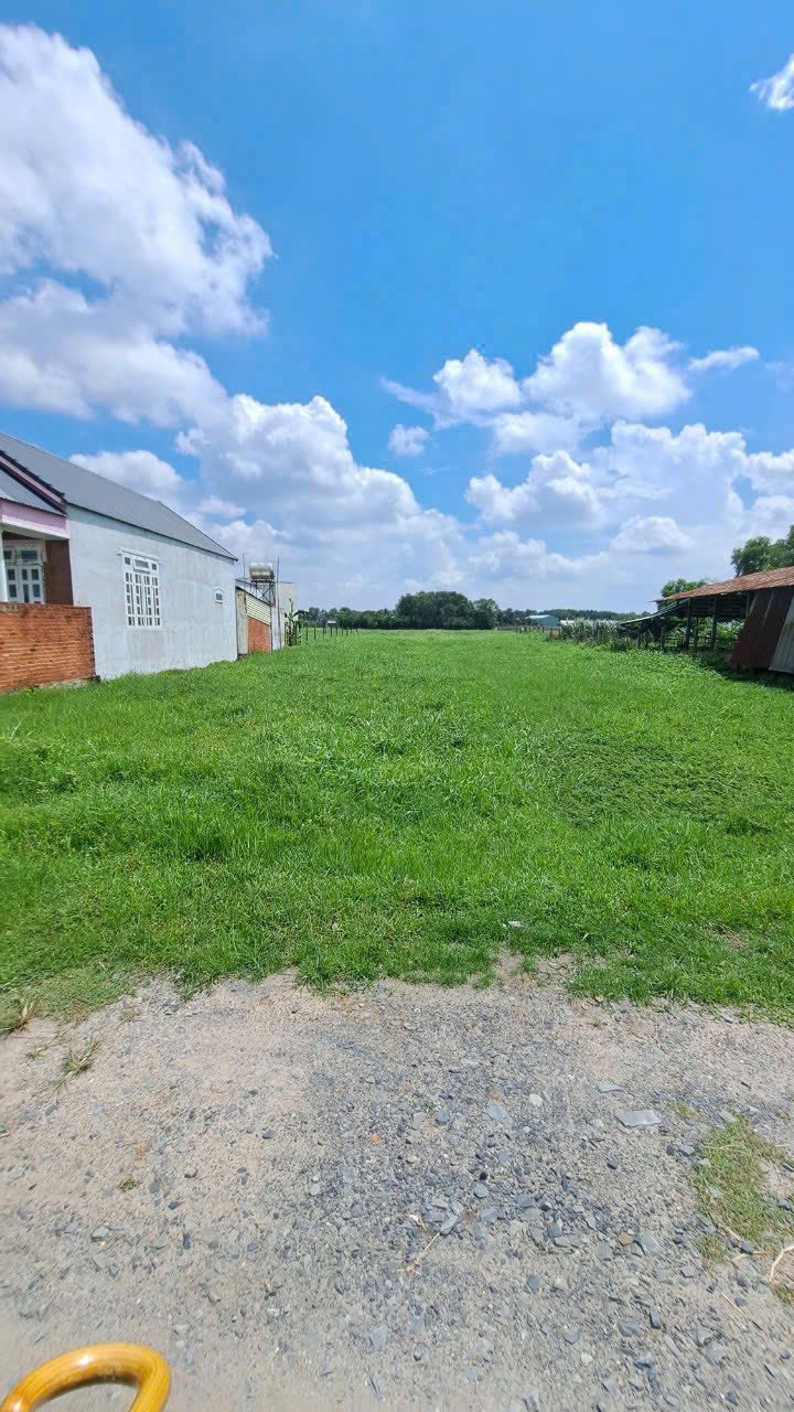 Lô đất chính chủ tại Đức Lập Hạ, Long An - 1254m² giá 2.2 tỷ - Đầu tư sinh lời!