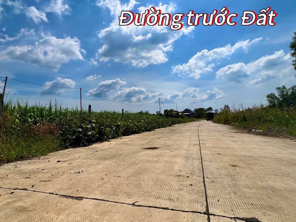 Đất vườn 1000m² Xã Sông Ray, Cẩm Mỹ, Đồng Nai giá 620 triệu - Pháp lý rõ ràng!