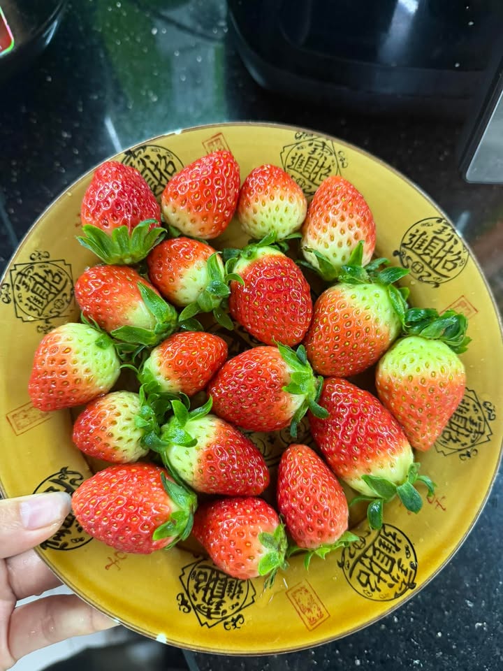 Bán đất mặt tiền Đại lộ Hùng Vương, Việt Trì 53,4m² - Vị trí vàng cho kinh doanh!