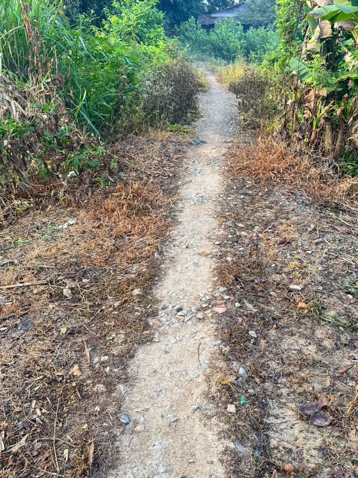 Đất nền xã Tân Hưng Củ, Vĩnh Long 115m² giá 269 triệu - Đầu tư sinh lời ngay!