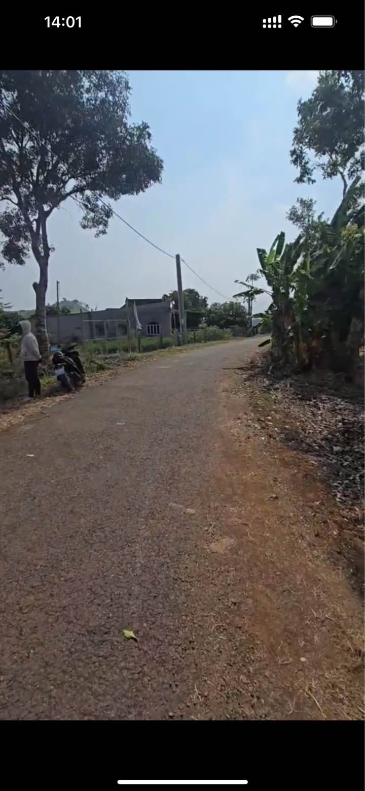 Đất nền 1000m² Long Tân - Giá chỉ 1.1 tỷ - Tiềm năng đầu tư cao!