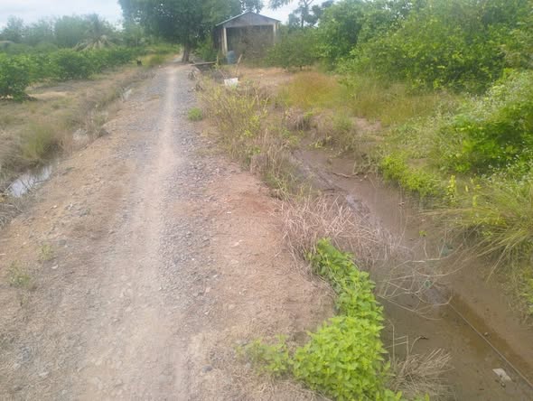 Đất vườn 2 mặt tiền Xã Thạnh Lợi 5.300m² giá 2.7 tỷ - Cơ hội đầu tư hấp dẫn!