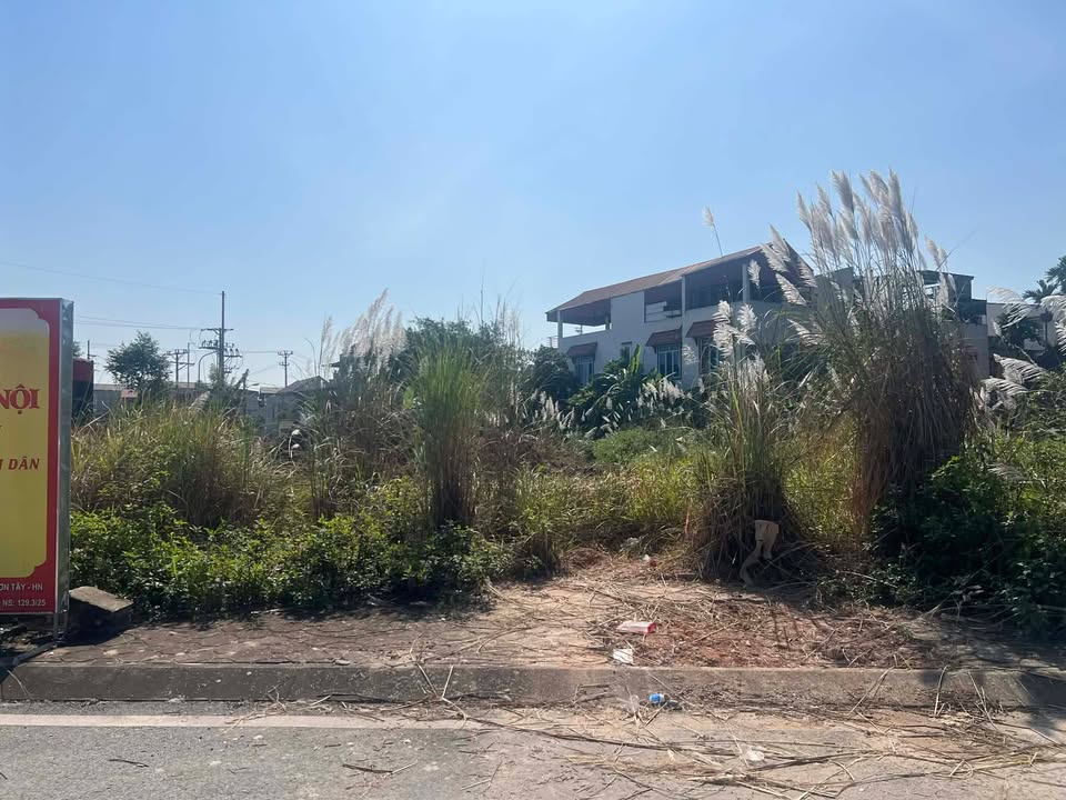 Đất đấu giá Viên Sơn, Sơn Tây 90m² giá 5 tỷ - Cơ hội đầu tư hấp dẫn!