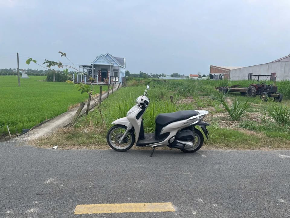 Đất mặt tiền Lộ Đình, Bình Trinh Đông, Tân Trụ 250m² giá 1.195 tỷ - Cơ hội đầu tư sinh lời!