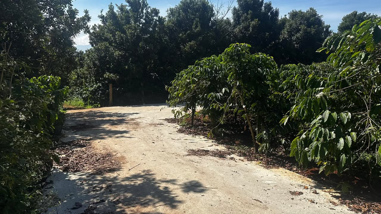 Đất nền Bảo Thuận Di Linh 300m² giá 590 triệu - Đầu tư sinh lời ngay!