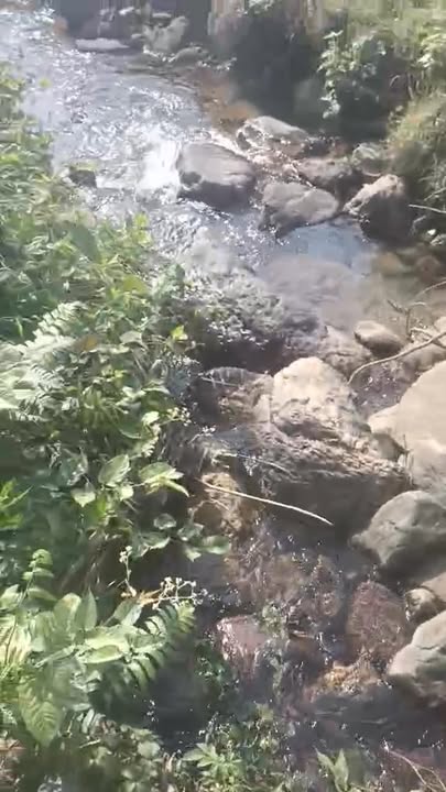 Đất nền 1500m² tại xóm Riêng, Đà Bắc chỉ 1 tỷ - Đầu tư tuyệt vời!