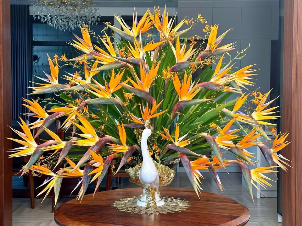 Đất mặt sông Vĩnh Trụ, 103m² giá chỉ từ 3 tỷ - Cơ hội đầu tư tuyệt vời!