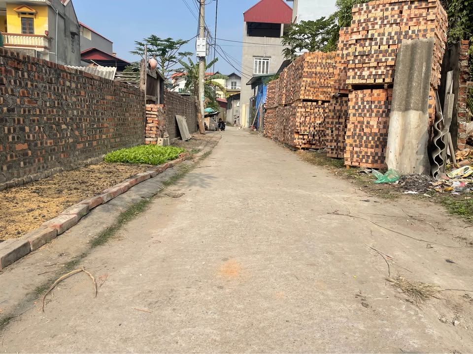 Đất nền Nghĩa Lộ - Hưng Yên 46m² giá chỉ 1 tỷ - Cơ hội đầu tư hấp dẫn!