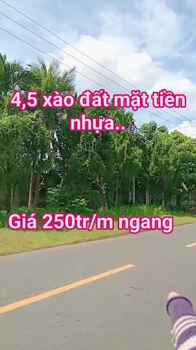 Đất thổ cư 4500m² đường nhựa chính Trà Cổ - Giá 19.25 tỷ, thích hợp kinh doanh!