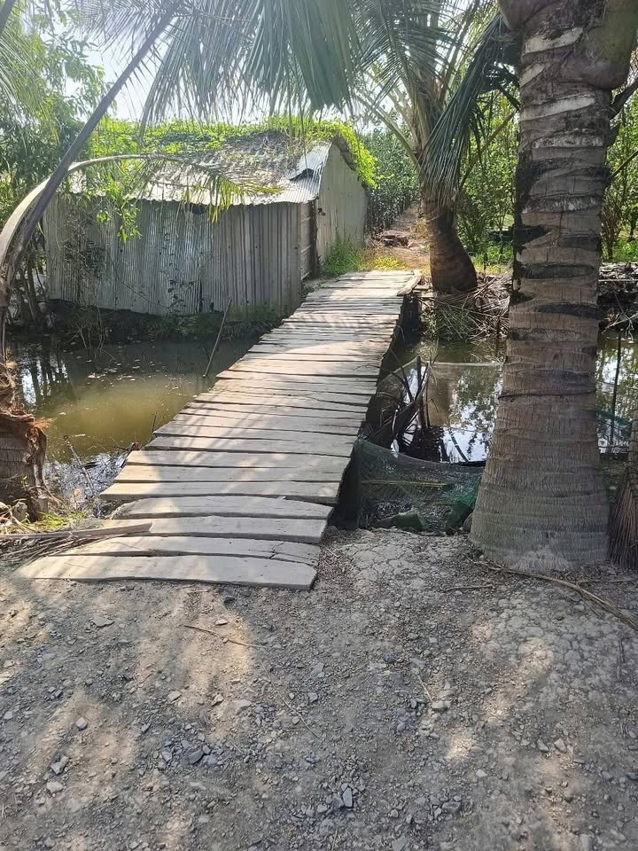 Đất lúa 5 công Hiếu Nhơn Vĩnh Long giá 1.5 tỷ - Tiềm năng đầu tư lớn!