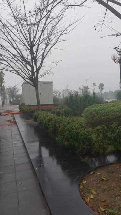 Biệt thự Park City Âu Cơ 240m² - Vị trí đắc địa, giá trị khai thác cao!