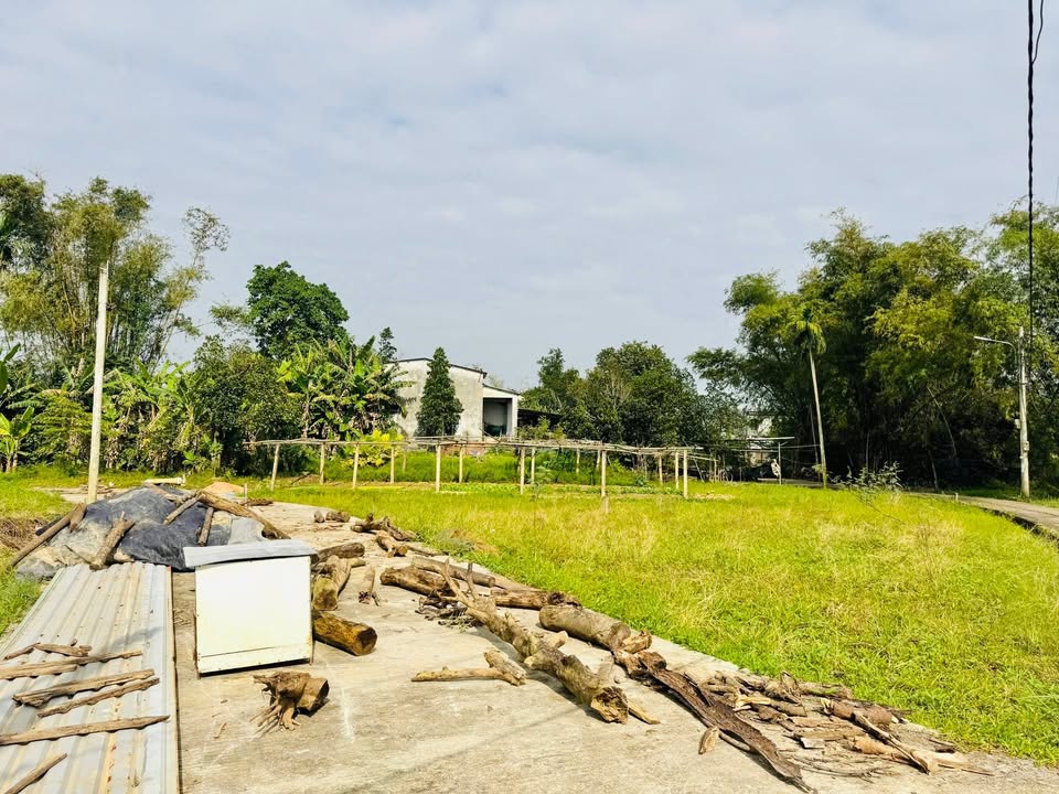 Đất nền Phong Nam, Hòa Xuân, Đà Nẵng 120m² - Gần cầu Cẩm Lệ chỉ 3.5km!