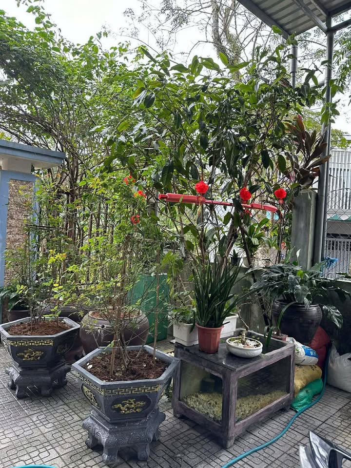 Nhà Gác Lửng Cho Thuê Lê Ngô Cát 176m² giá 6 triệu - Phù hợp hộ gia đình!