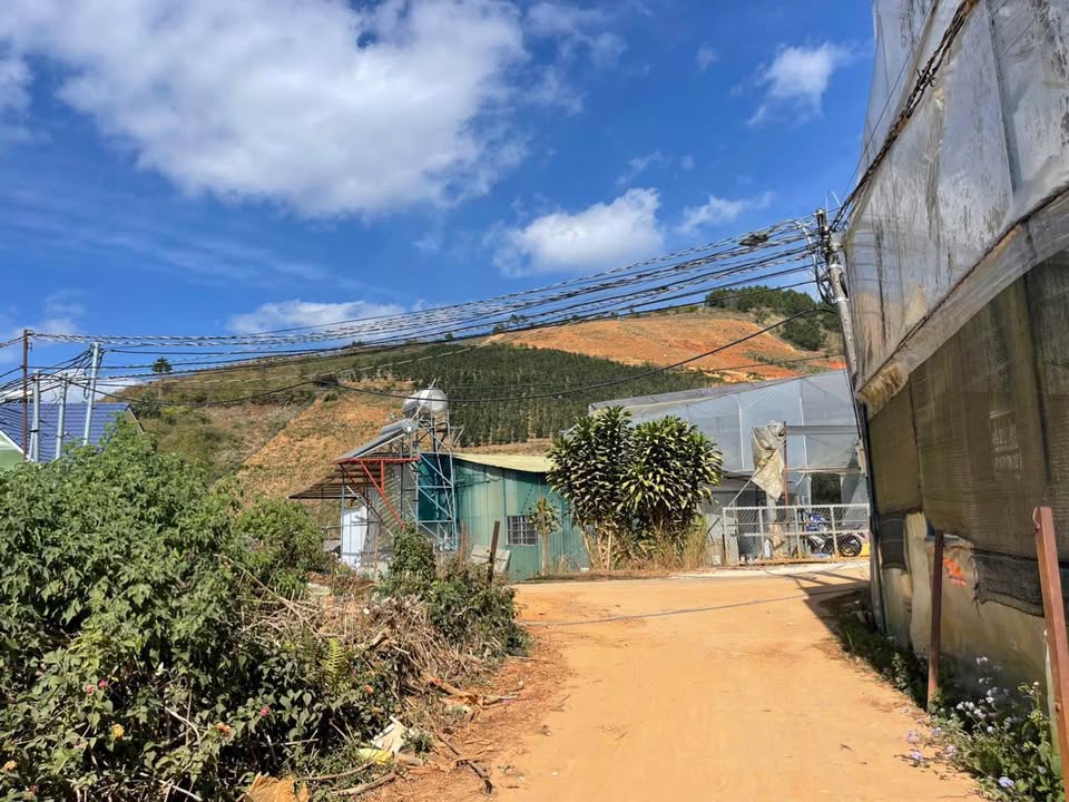 Đất nền khu dân cư Thị trấn Lạc Dương 91m² giá 1.25 tỷ - Sổ đỏ chính chủ!