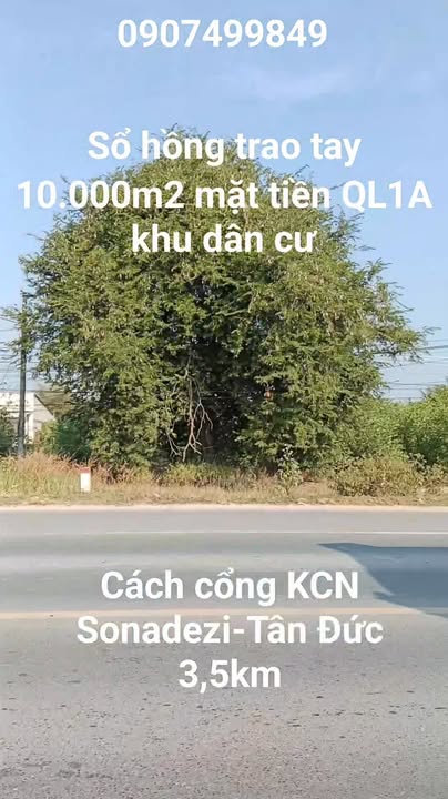 Đất nền 10.000m² mặt tiền QL1A Xã Tân Minh, Bình Thuận - Sổ hồng trao tay!