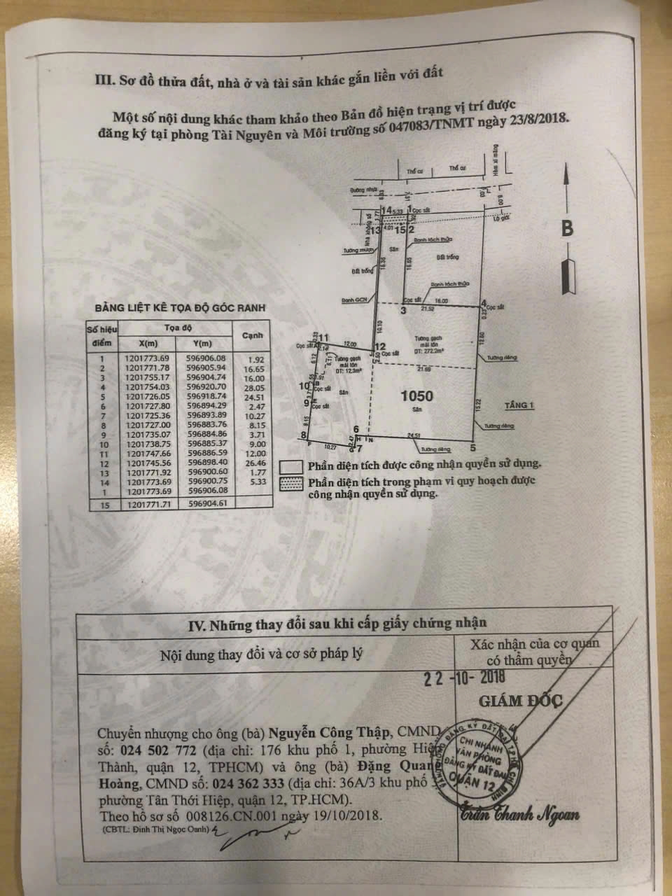 Đất thổ cư 964m² mặt tiền đường Tân Thới Hiệp 9 - Cơ hội đầu tư tuyệt vời!