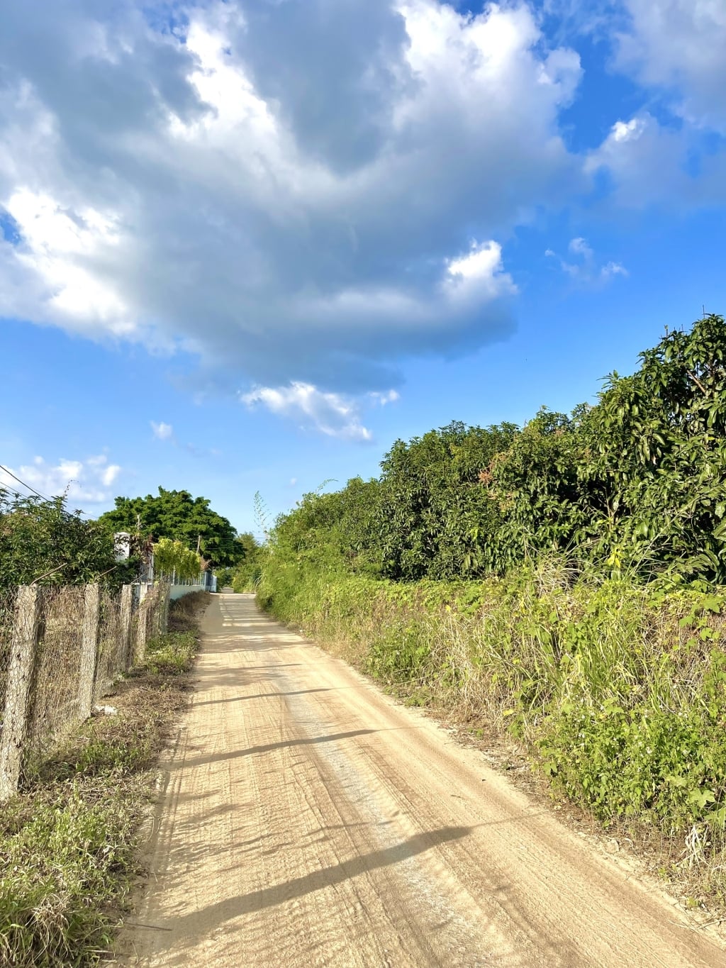 Đất thổ cư Cam Tân 265m² chỉ 890 triệu - Vị trí đắc địa mặt đường quy hoạch 20m!