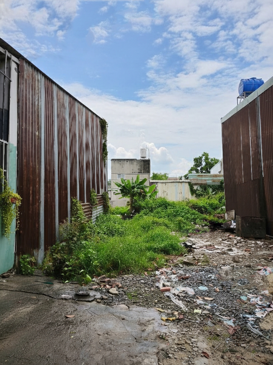 Đất nền Thạnh Xuân 25, Quận 12, 67m² giá 1.45 tỷ - Đầu tư tiềm năng!