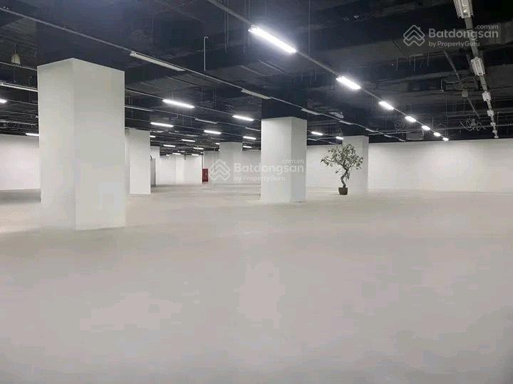 Cho thuê sàn văn phòng MIPEC Tower, Đống Đa, Hà Nội - Diện tích linh hoạt từ 200m² đến 1.200m²