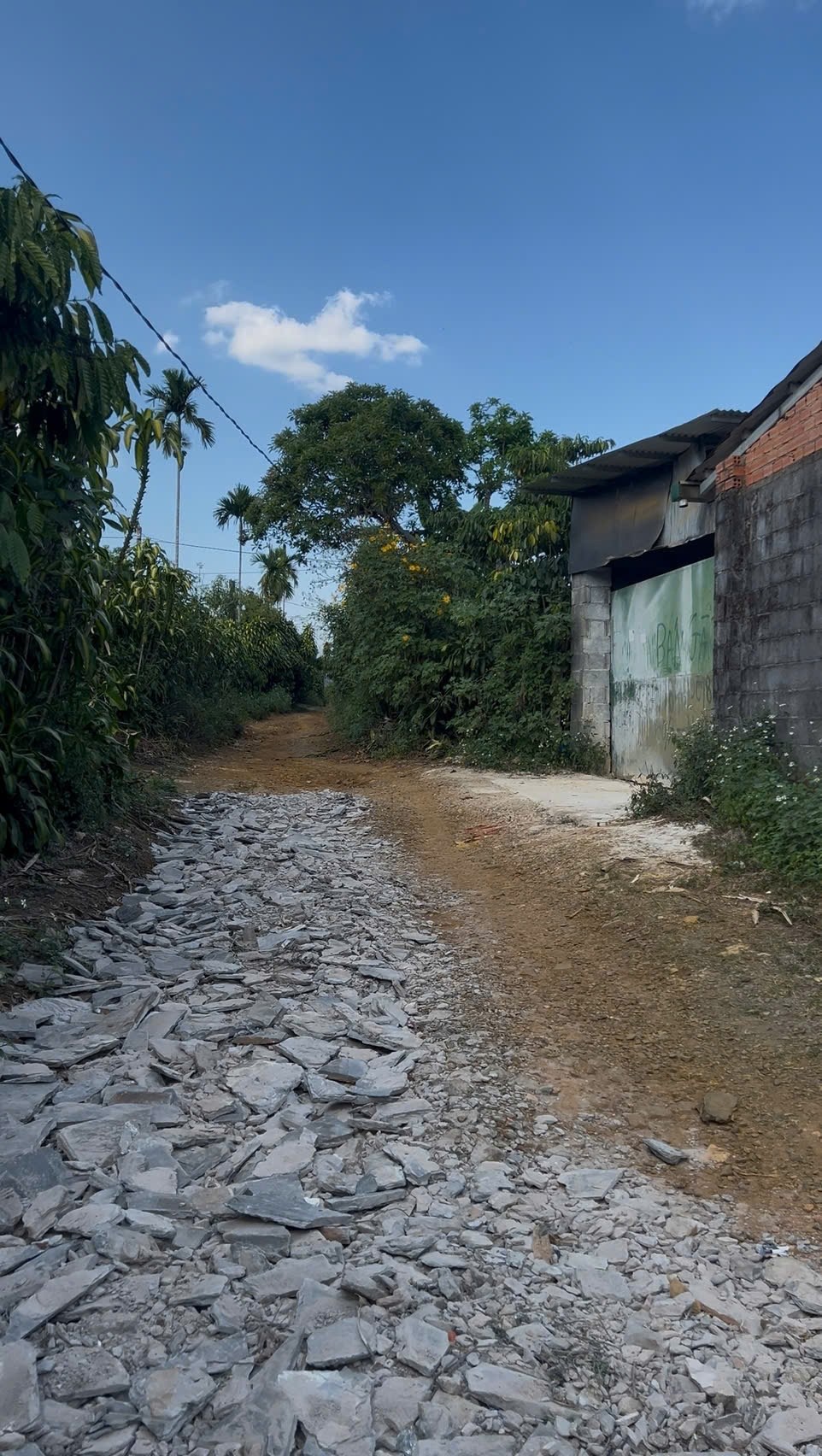 Đất nền 3,3 sào đường Ngô Đức Kế, Phường B Lao, Bảo Lộc - Giá 10 tỷ - Đầu tư sinh lời!