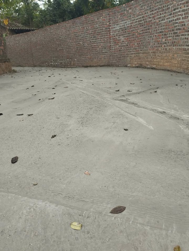 Đất nền xã Hoàng Hoa, huyện Tam Dương 2000m² giá chỉ 2 tỷ - Cơ hội đầu tư tuyệt vời!