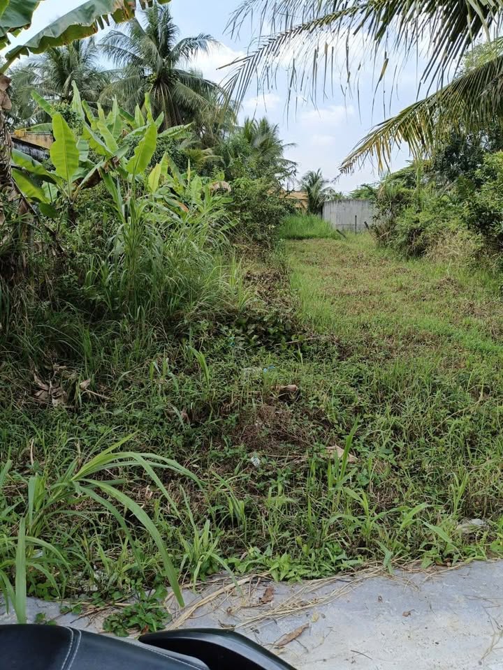 Đất nền 300m² tại Ấp Phước Thuận, Mỹ Tho - Chỉ 1.15 tỷ - Đường ô tô vi vu!