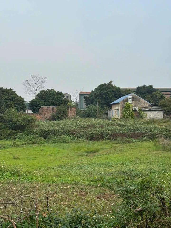 Lô đất Thép Vân Cường, Huyện Đại Từ, 711m² chỉ 2.844 tỷ - Cơ hội đầu tư tuyệt vời!