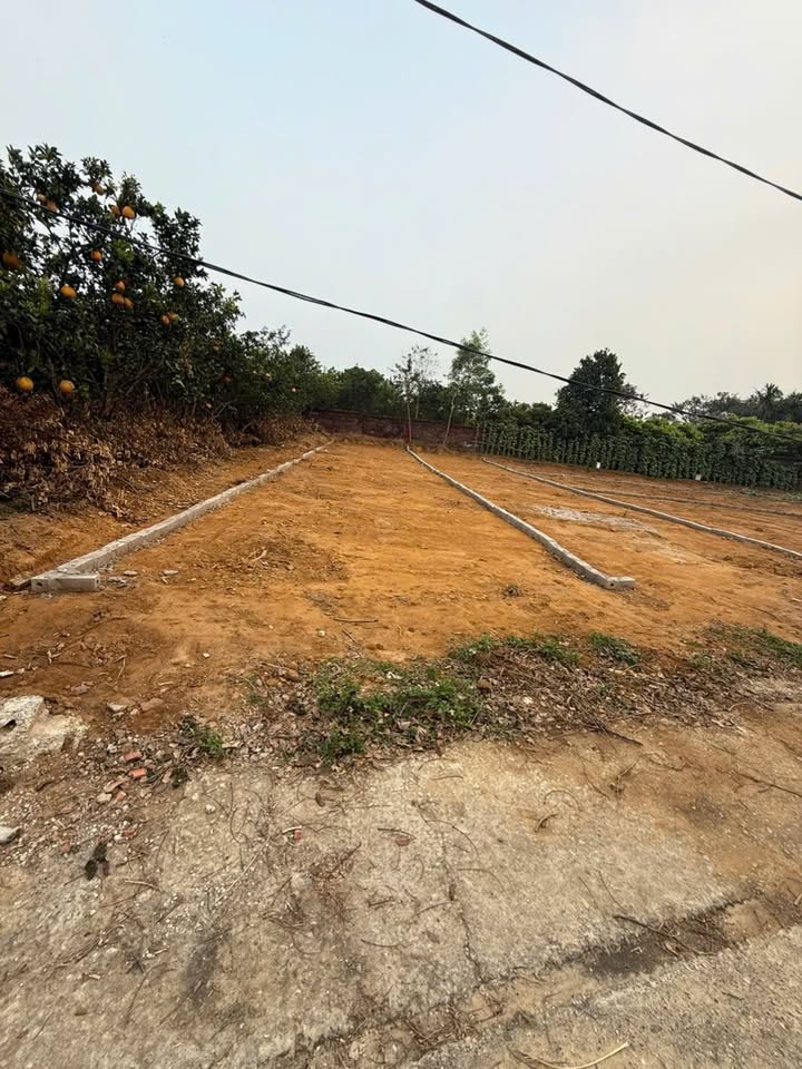 Đất thổ cư Danh Thắng, Hiệp Hòa 100m² giá chỉ 800 triệu - Vị trí đắc địa phù hợp kinh doanh!