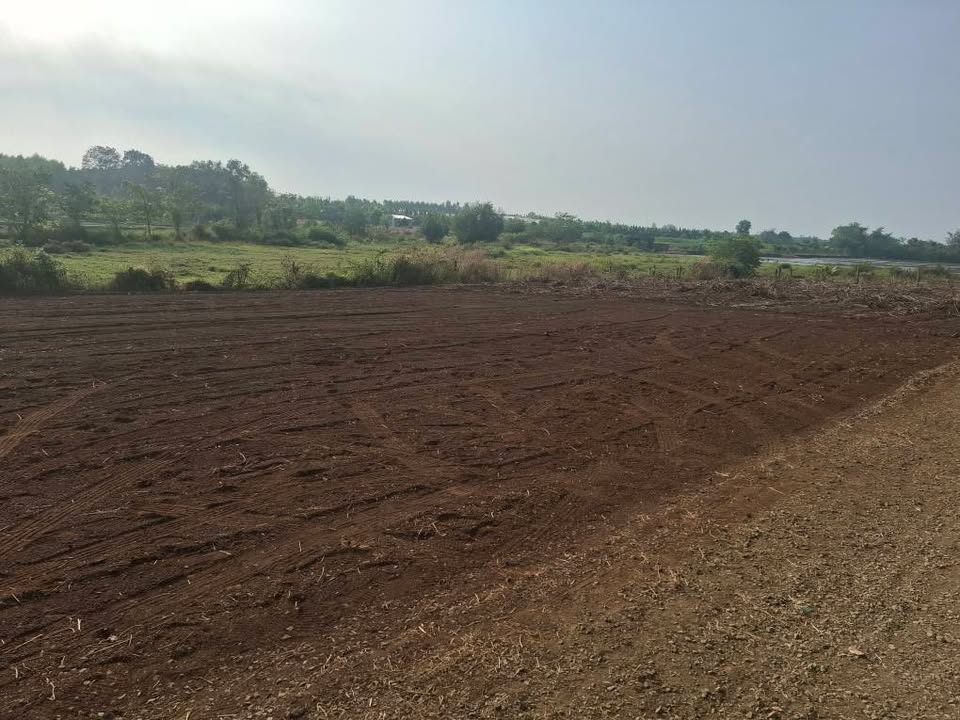 Đất nền Long Tân 500m² giá 550 triệu - Sổ hồng chính chủ, xe hơi vào tận nơi!