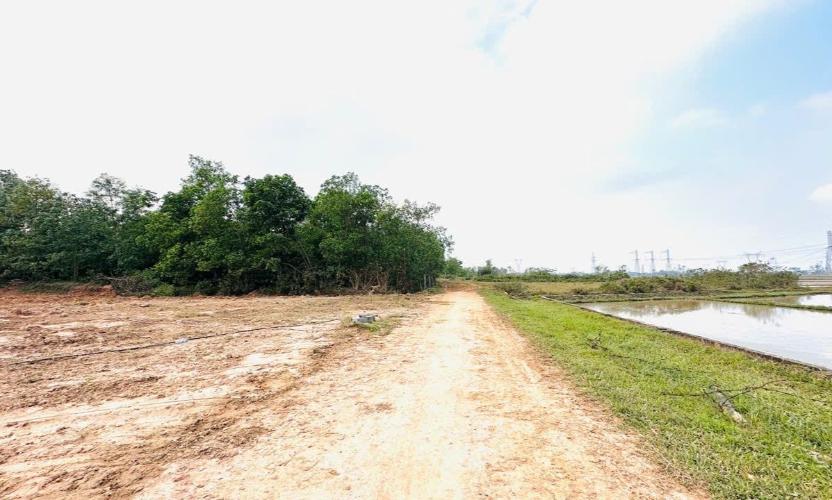 Bán đất thôn Hưng Hoà, Nam Điền 900m² giá 1.7 tỷ - Đường rộng 6m, cơ hội đầu tư tiềm năng!