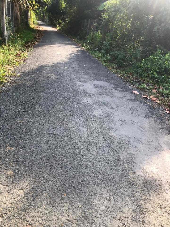 Đất nền Tập Sơn, Trà Cú 1050m² giá 52.5 tỷ - Đầu tư sinh lời ngay!