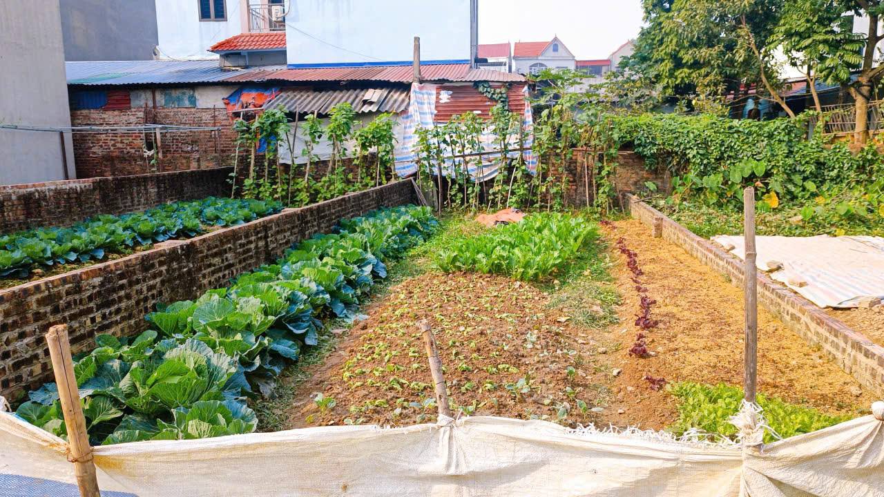 Đất nền thôn Xuân Bách, Quang Tiến, Sóc Sơn 63m² giá chỉ 3 tỷ - Đầu tư sinh lời cao!