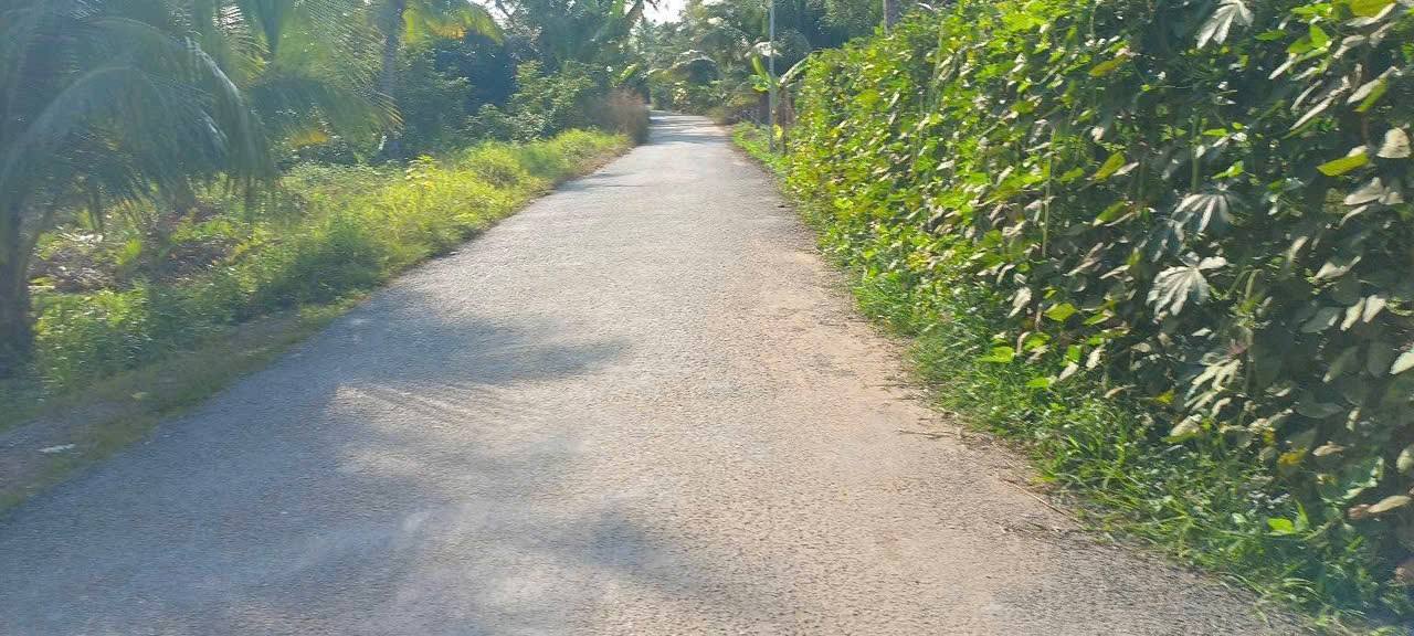 Đất thổ cư Tân Thành Bình Mỏ Cày Bắc 144m² giá 200 triệu - Đầu tư sinh lời ngay!