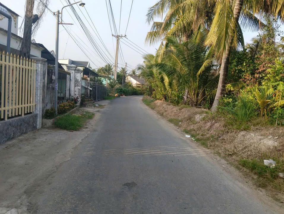 Nhà cấp 4 mặt tiền đường Huyện 31, Bình Phước 505m² giá 1.85 tỷ - Vị trí đắc địa!