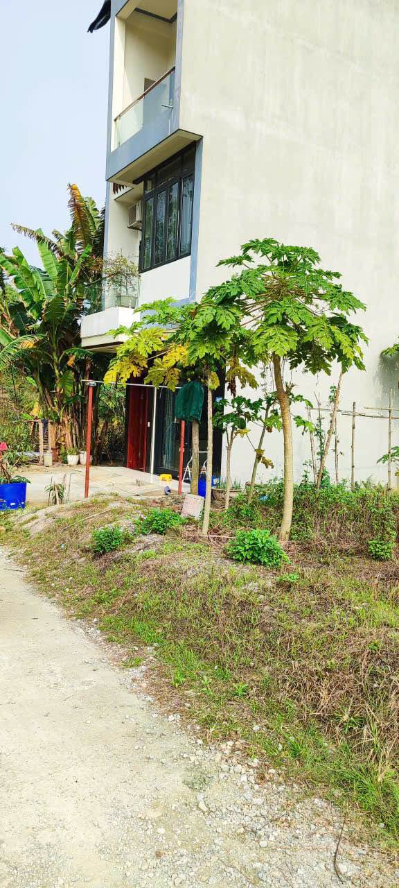 Đất nền Koysy Lào Cai 102m² giá 825 triệu - Cơ hội đầu tư hấp dẫn!