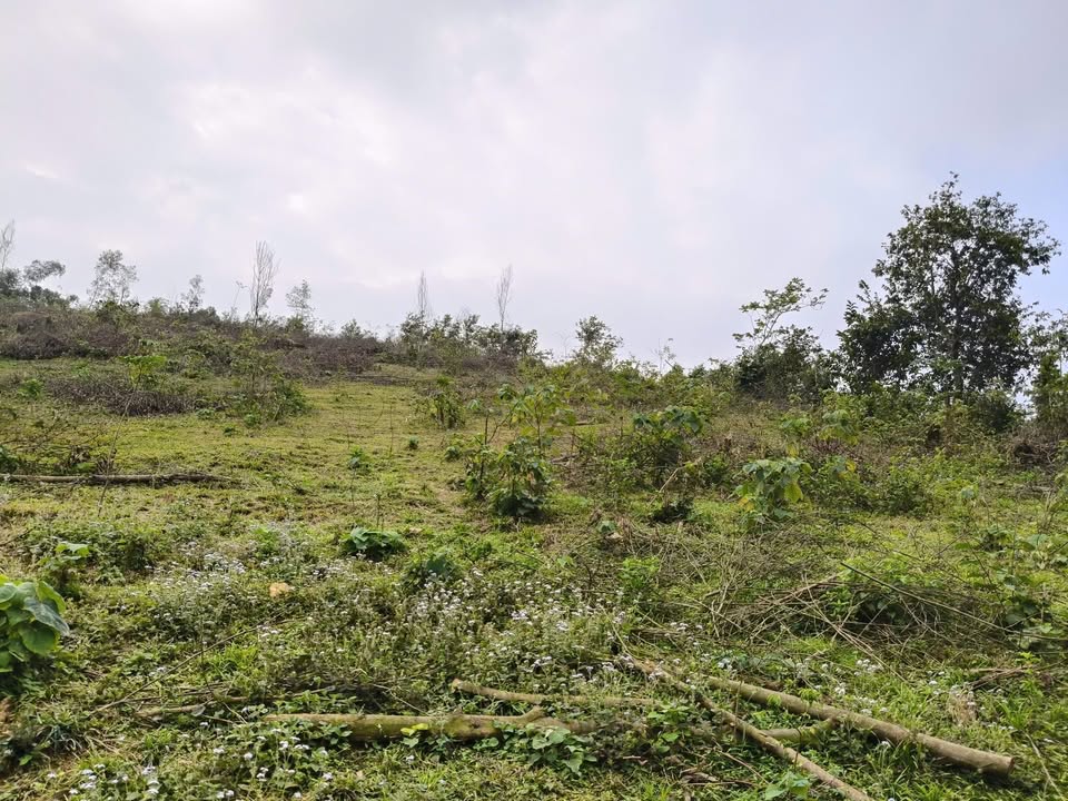 Đất nghỉ dưỡng tại Ba Vì, Hà Nội 5900m² giá chỉ 3 tỷ - Cơ hội đầu tư tuyệt vời!