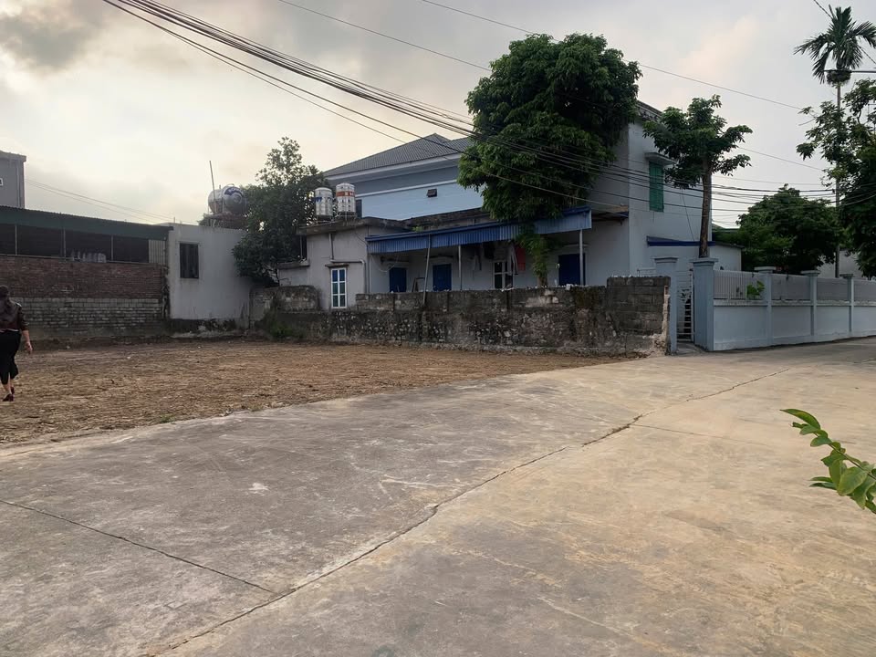 Đất nền An Lão Hải Phòng 100m² giá 1 tỷ - Cơ hội đầu tư sinh lời!