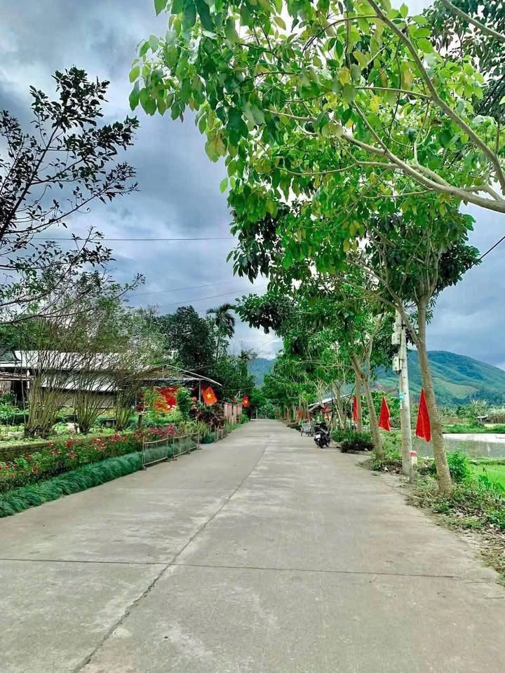 Đất nền Hòa Vang Đà Nẵng 1100m² giá chỉ 5 tỷ - Vị trí cao ráo, không ngập lụt!