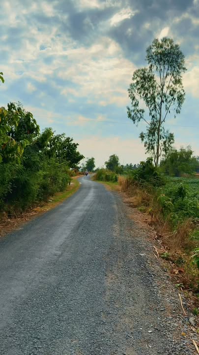 Đất nền xã Tuyên Bình, huyện Vĩnh Hưng, 5000m² giá 900 triệu - Tiềm năng đầu tư lớn!