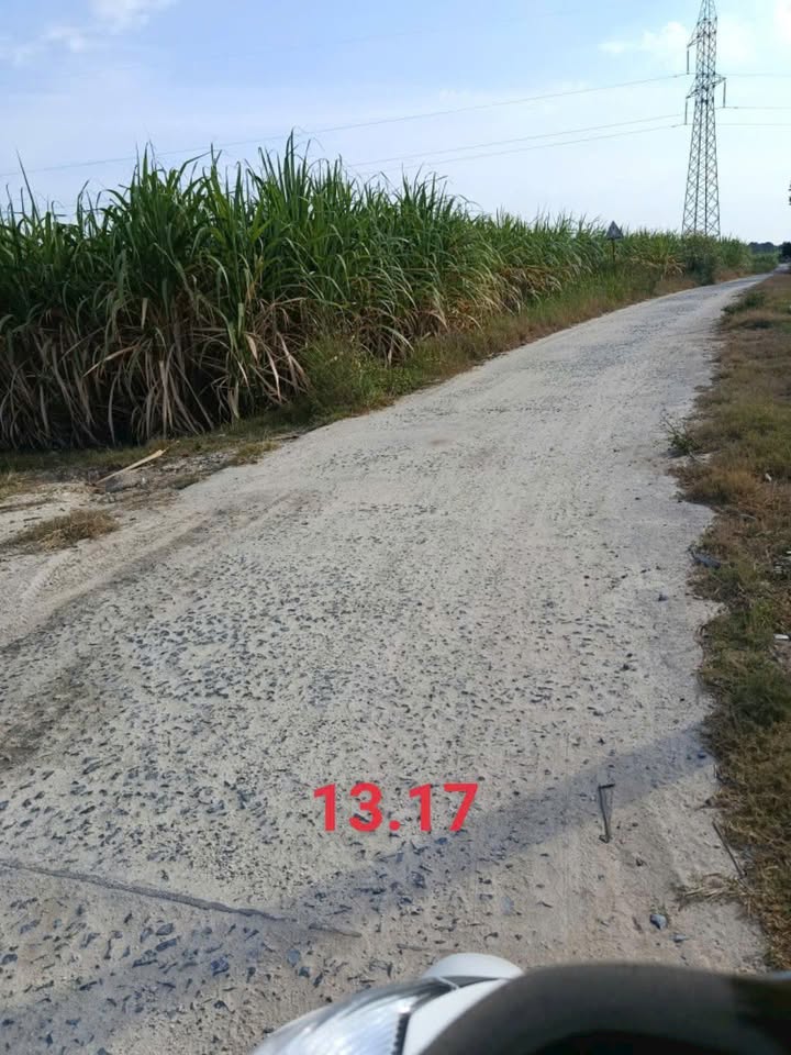 Đất nền Cam An Nam 1154m² giá 450 triệu - Mặt tiền đường bê tông thuận lợi!