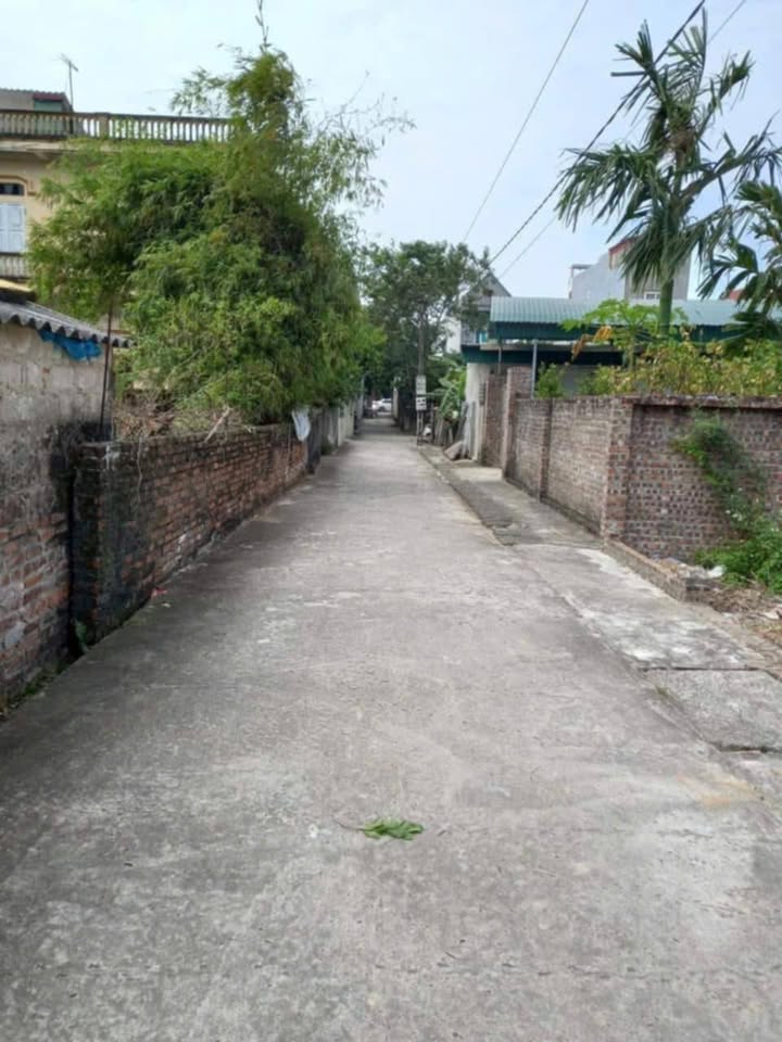 Đất nền thôn Đức Hỷ, xã Cẩm Hưng, 77.5m² - Vị trí đắc địa, giao thông thuận lợi!