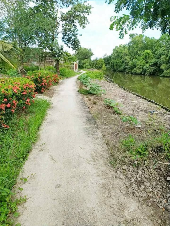 Đất vườn và nuôi trồng thủy sản Lương Thế Trân 1.728m² giá 780 triệu - Tiềm năng tăng giá vượt trội!