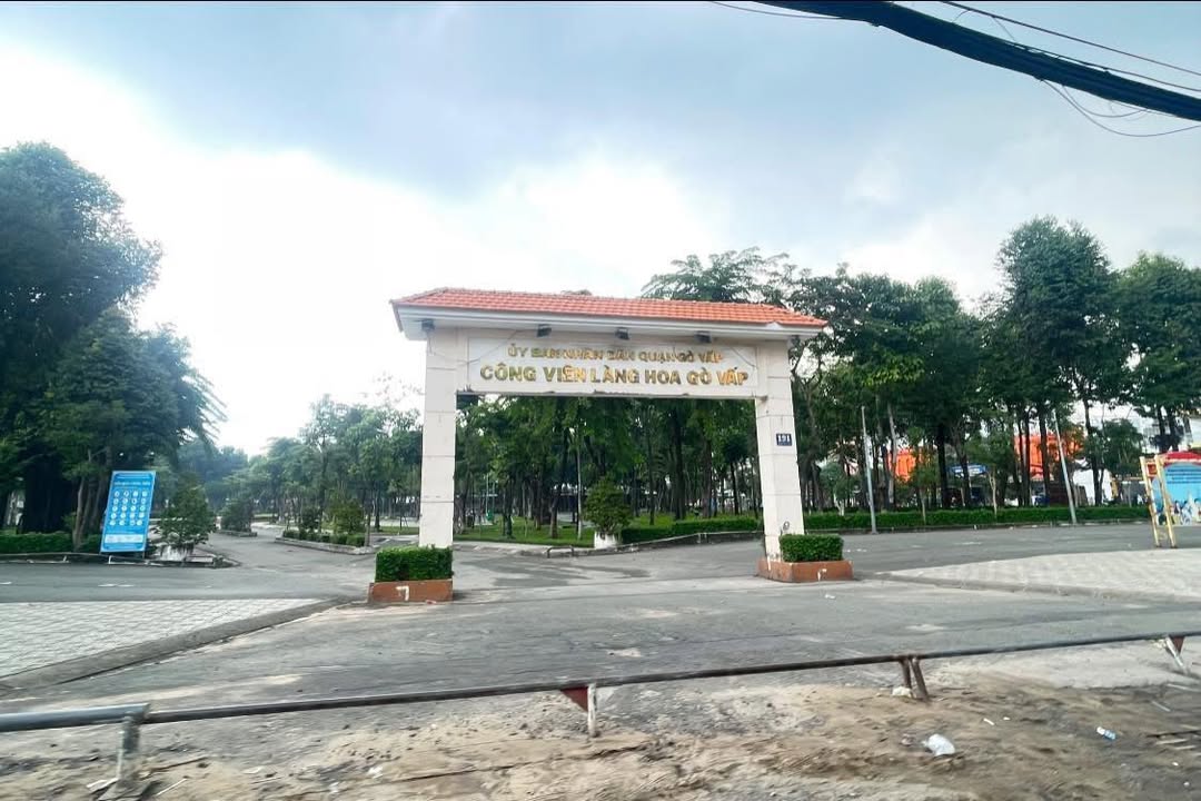 Nhà phố mặt tiền đường Phường 8, Quận Gò Vấp, 42m² giá 6 tỷ - Đầu tư kinh doanh lý tưởng!