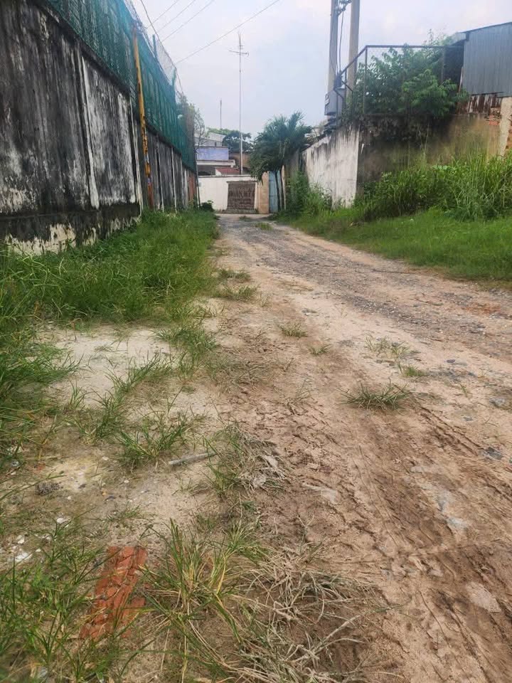 Đất thổ cư sổ riêng 155m² tại Tân Triều, Biên Hòa - Vị trí đắc địa, giá chỉ 1.6 tỷ!