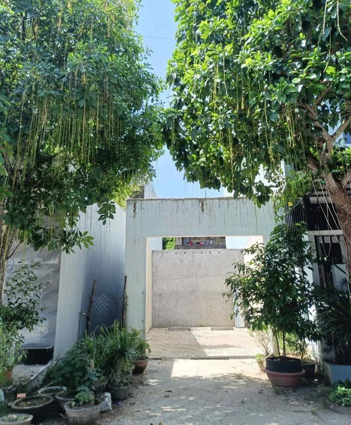Lô đất mặt tiền Thành Thái, Quảng Ngãi 99m² giá 2,5 tỷ - Chính chủ bán gấp!